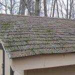 roof shingles damaged with growing moss and mold