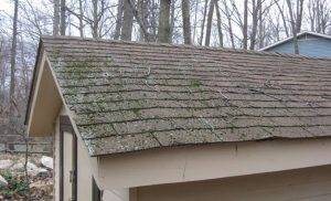 How to Check Roof for Damage roof shingles damaged with growing moss and mold