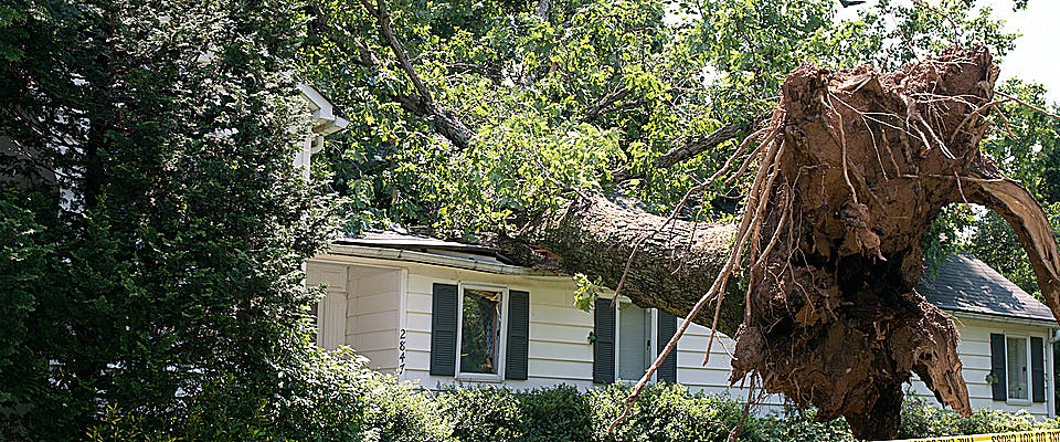 tree fallen on roof causing storm damage in maryland