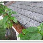 Gutter Cleaning And Repair Service