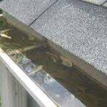 Clogged gutters with poor drainage from roof