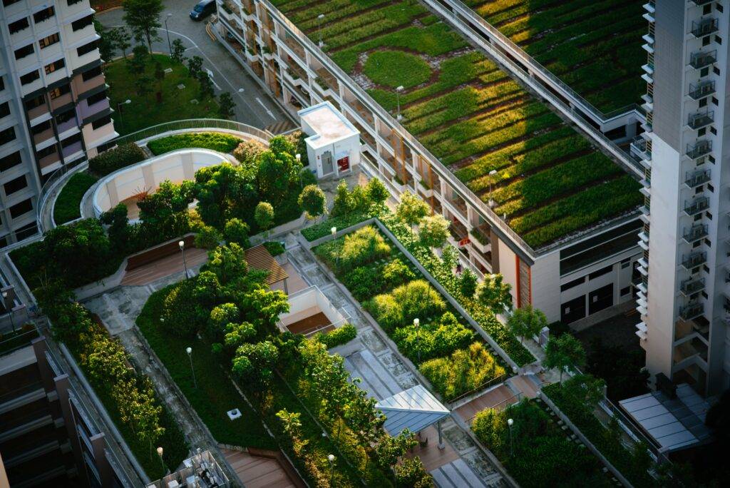 green roofing in city